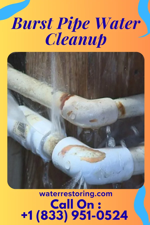 Burst Pipe Water Cleanup in Northfield, KY